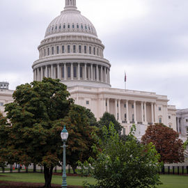 The U.S. Capitol building is shown on a cloudy day, partially obscured by trees and a streetlamp in the foreground—a backdrop where business leaders and communicators shape discussions about the Trump economy.