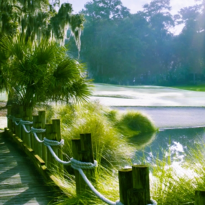 The Landings, Savannah, Georgia